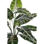 PLANTA ALOCASIA SANDERIANA ARTIFICIAL - Imagen 2