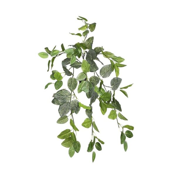 KS6014_0 FITONIA COLGANTE ARTIFICIAL 50CM - Imagen 1