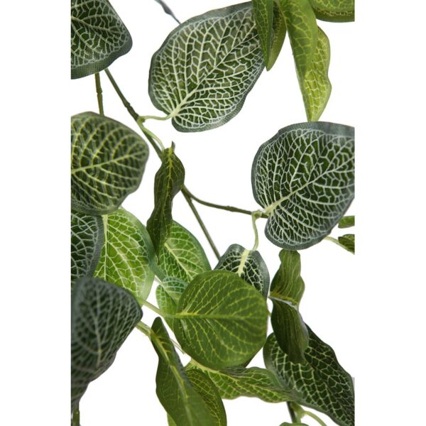 FITONIA COLGANTE ARTIFICIAL 50CM - Imagen 2