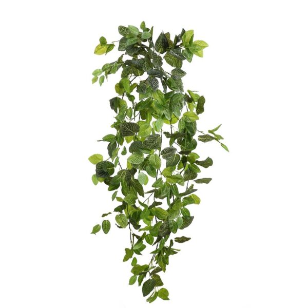 FITONIA COLGANTE ARTIFICIAL 120CM - Imagen 1
