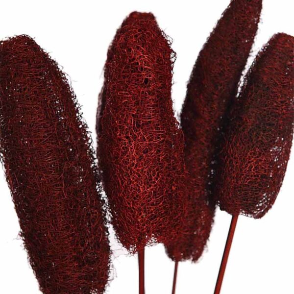 LUFFA CON VARA X5 70CM - Imagen 2