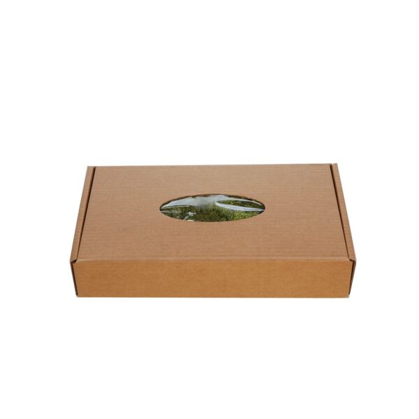 CAJA DE MUSGO FINLANDES PRESERVADO 400GR - Imagen 3