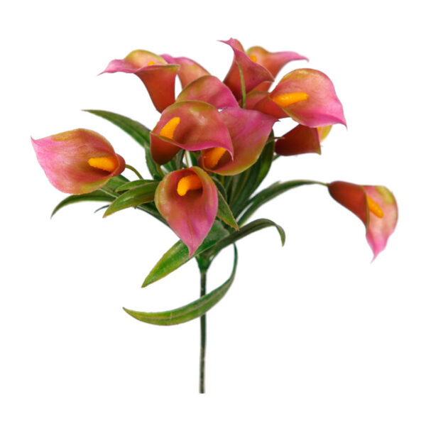 MINI CALA LILY PICK 20CM - Imagen 2