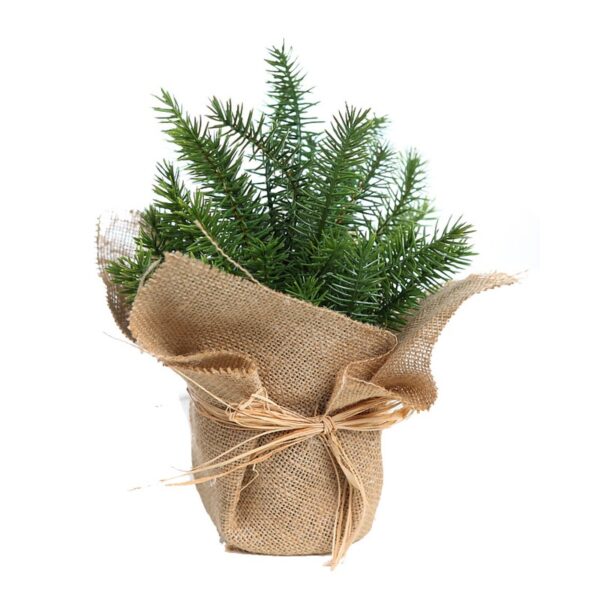 MS71599_0 MACETA PINO CON SACO 22CM - Imagen 1