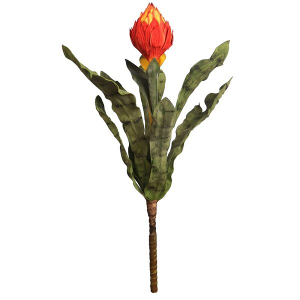 VARA DE PROTEA - Imagen 3