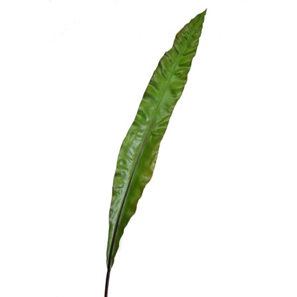 HOJA ASPIDISTRA ARTIFICIAL 105CM - Imagen 1