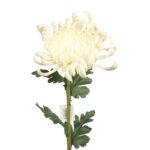 VARA MUM 77CM - Imagen 2