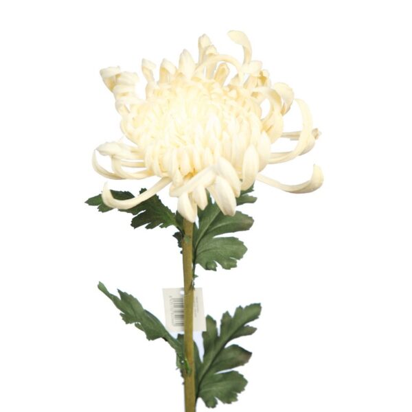 VARA MUM 77CM - Imagen 2