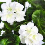 PLANTA GERANIO COLGANTE ARTIFICIAL 70CM - Imagen 2