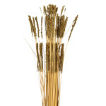 POMO GRASS OTOÑAL - Imagen 4