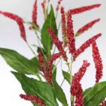 RAMA GRAMINEA ARTIFICIAL 90CM - Imagen 6