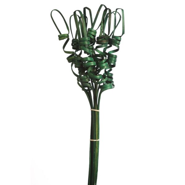 S101_0 CANE TING TING 70CM - Imagen 1