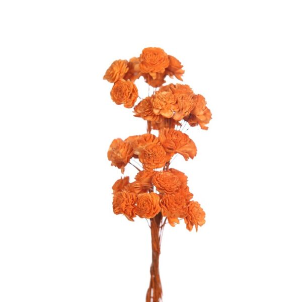 S103_0 POMO X4 SOLA ROSE MINI 20CM - Imagen 1