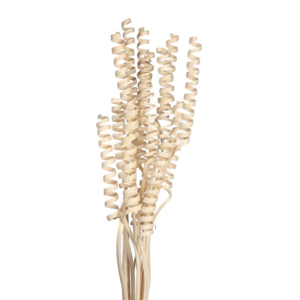 CANE SPRING X 15, 50 CM - Imagen 1