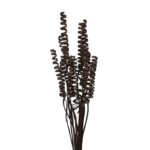 CANE SPRING X 15, 50 CM - Imagen 7