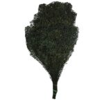 POMO BROOM OSCURO 55CM