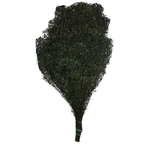 POMO BROOM OSCURO 55CM - Imagen 1