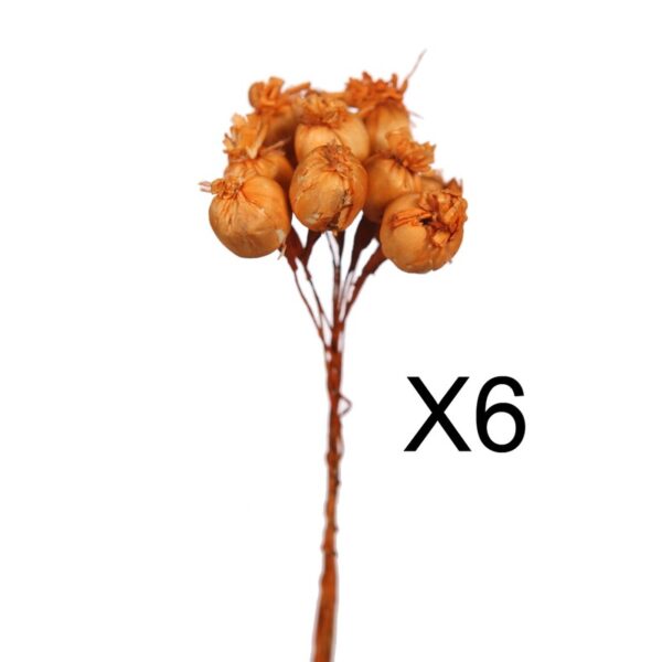 SET 6 RAMILLETES SOLA POPPY 22CM - Imagen 1