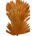 PALM SUN SPEAR X6  45CM - Imagen 2