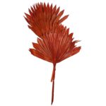 PALM SUN SPEAR X6  45CM - Imagen 3