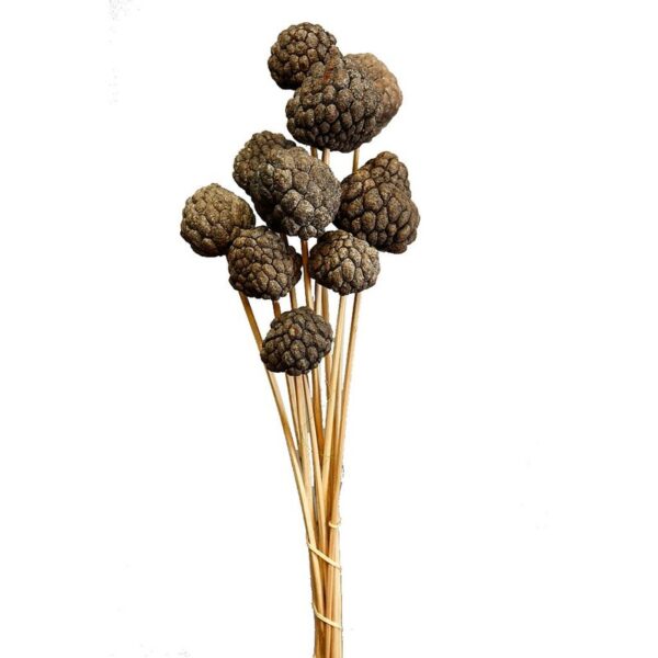 S181_0 POMO ALTA FRUIT 45CM - Imagen 1