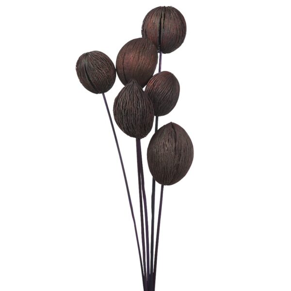 S203.11_0 MINTOLA POMO X5 56CM - Imagen 1