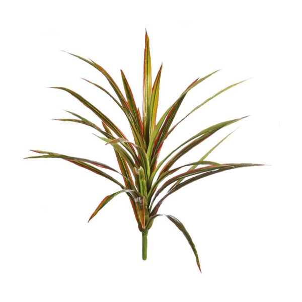 PLANTA YUCCA 68CM - Imagen 1