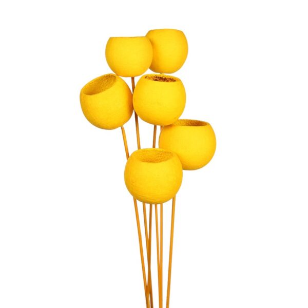 BELL CUP Ø5CM, 6 PCS, ALT 60CM - Imagen 2