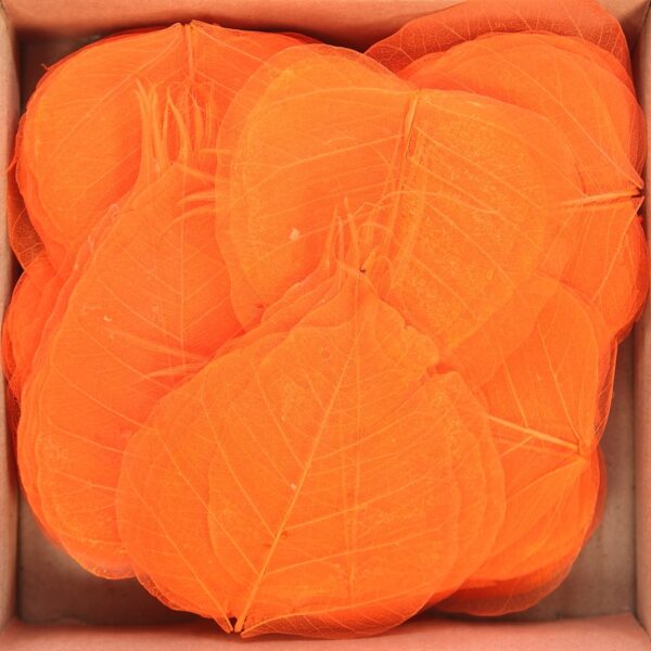 S229.12_0 HOJAS SKELETOR 200 PCS, Ø 10CM - Imagen 1