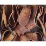 CUCHARA CORTEZA NATURAL CAJA 30 UNIDADES APROX - Imagen 2