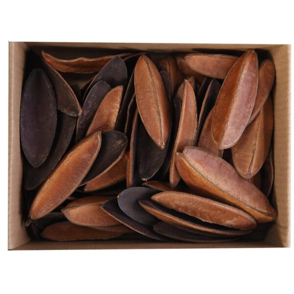 HOJAS BEAN SECAS 50UD - Imagen 1