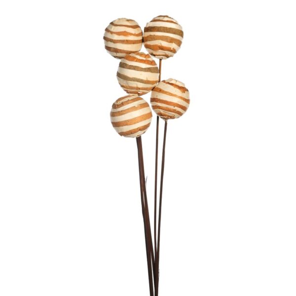 SOLA ZEBRA/GLOBE ON STEM 5 PCS 75CM - Imagen 1