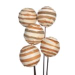SOLA ZEBRA/GLOBE ON STEM 5 PCS 75CM - Imagen 2
