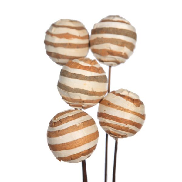 SOLA ZEBRA/GLOBE ON STEM 5 PCS 75CM - Imagen 2
