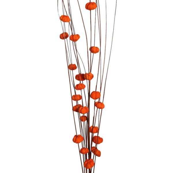 COCO PARAS X15 104CM - Imagen 4