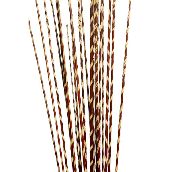 STICK GOLDEN RAFFIA SPIRAL X20 100CM - Imagen 8