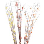 COCO BELI DRAGON 15UD 100CM