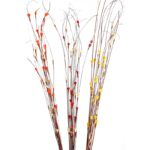 COCO MAIZE (3IN1) 15UD 100CM