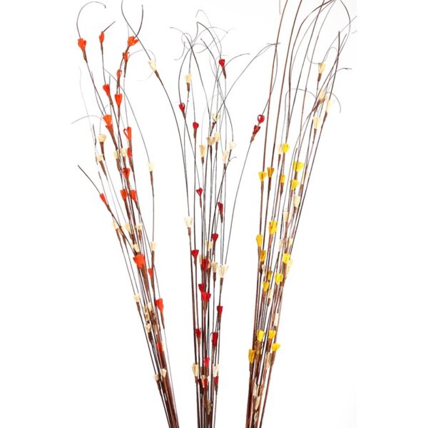 COCO MAIZE (3IN1) 15UD 100CM - Imagen 2