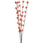 SOLA RUD STICK DRAGON 5UD 80CM