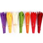 CALA SECA 38 CM POMO DE 12 PCS - Imagen 2