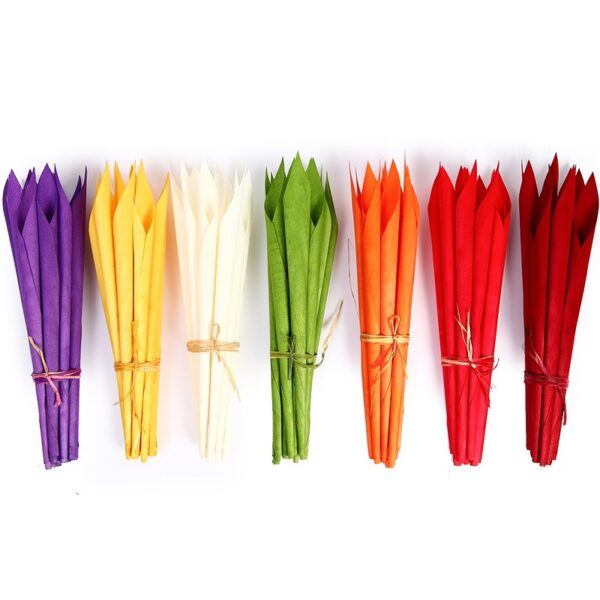 CALA SECA 38 CM POMO DE 12 PCS - Imagen 3