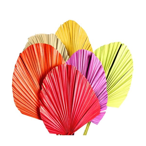 S6939.03_0 HOJA DE PALMA 5UD 85CM - Imagen 1