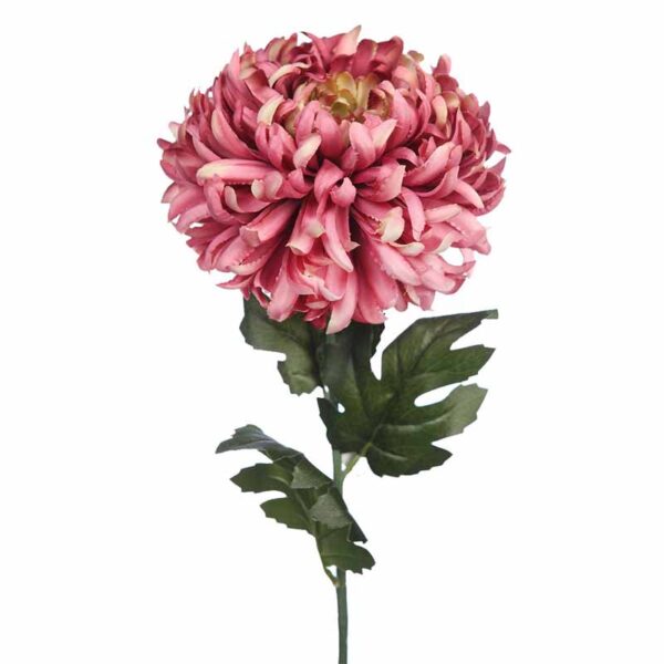 VARA CRISANTEMO GIGANTE 80CM - Imagen 4