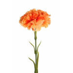 VARA DE CLAVEL ARTIFICIAL 58CM - Imagen 5