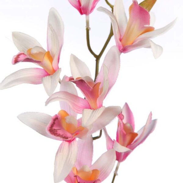 VARA DE ORQUIDEA 72CM - Imagen 6