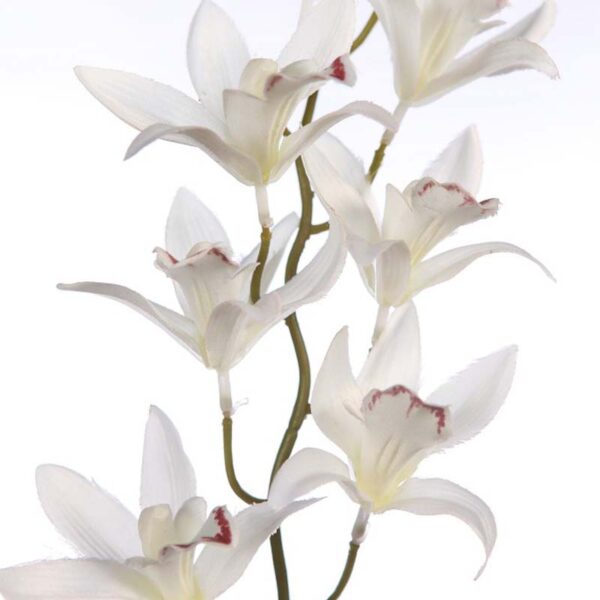 VARA DE ORQUIDEA 72CM - Imagen 2