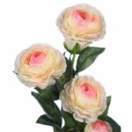 VARA DE RANUCULO 73CM - Imagen 2