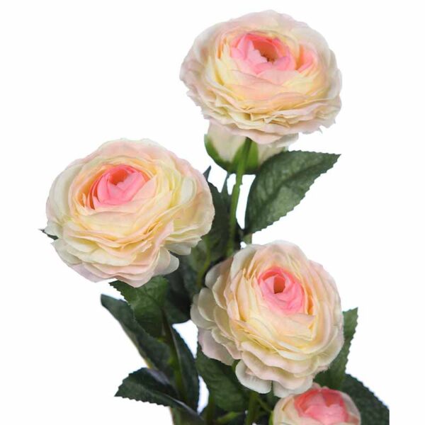 VARA DE RANUCULO 73CM - Imagen 2