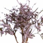 VARA DE TATARICA ARTIFICIAL 42CM - Imagen 2